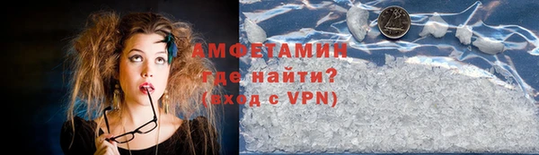ГАЛЛЮЦИНОГЕННЫЕ ГРИБЫ Гусев