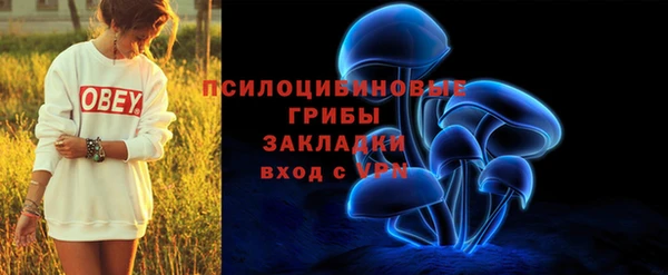 ГАЛЛЮЦИНОГЕННЫЕ ГРИБЫ Гусев