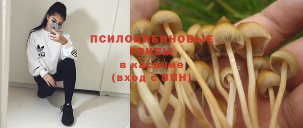 марихуана Дмитровск