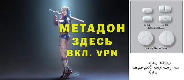 ГАЛЛЮЦИНОГЕННЫЕ ГРИБЫ Гусев