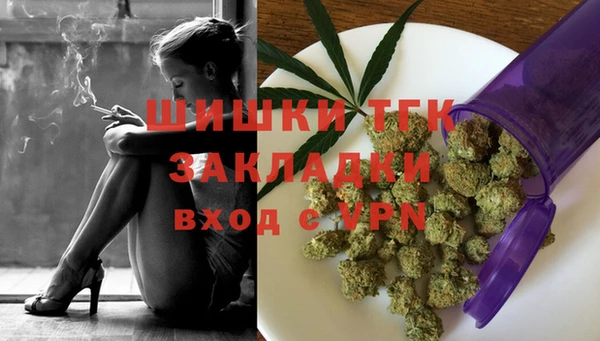 молекула духа Гусиноозёрск