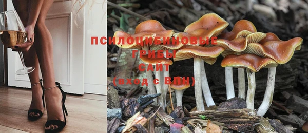 молекула духа Гусиноозёрск